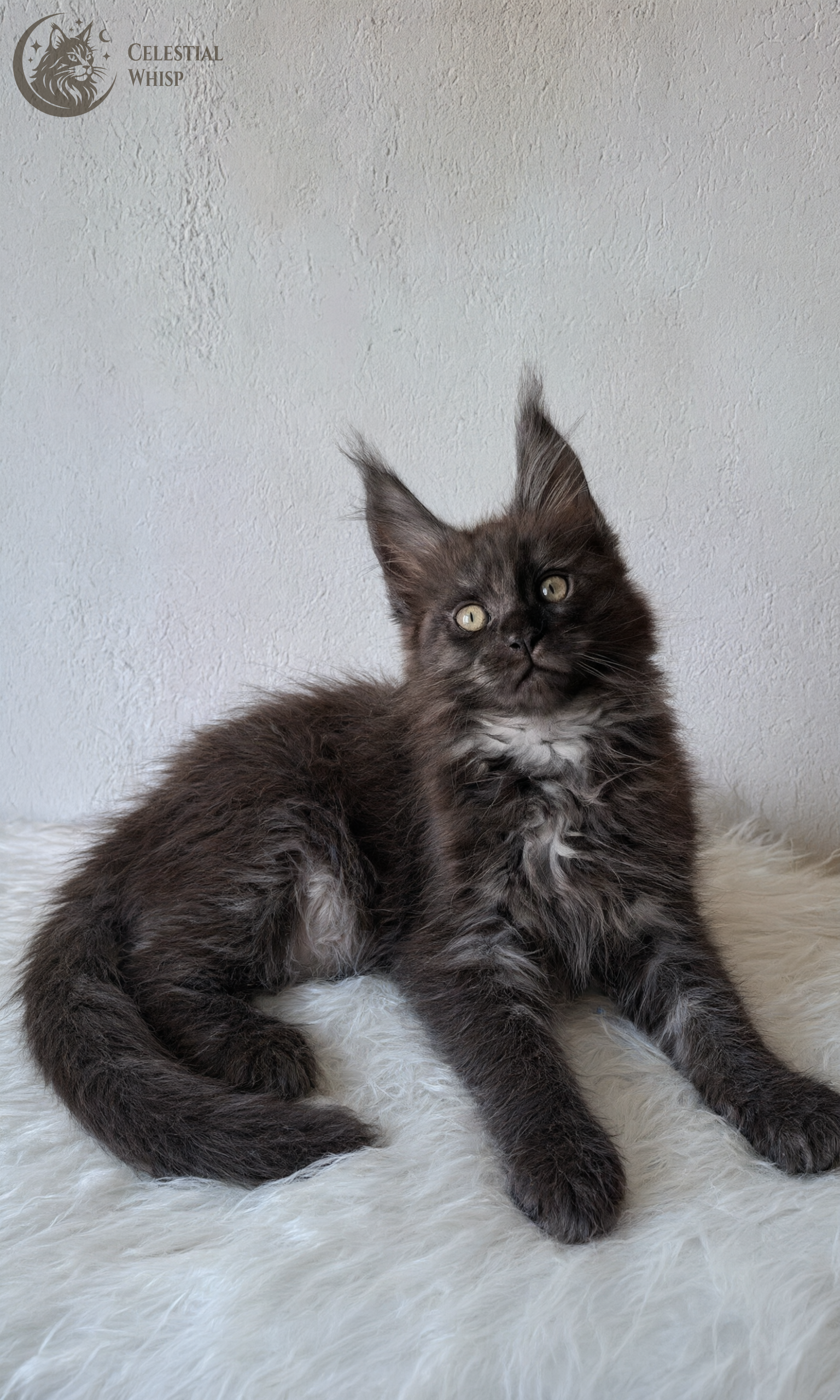 Hector